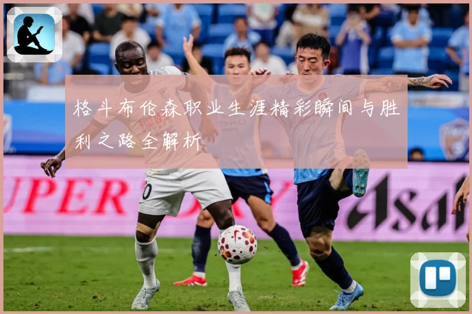 格斗布伦森职业生涯精彩瞬间与胜利之路全解析